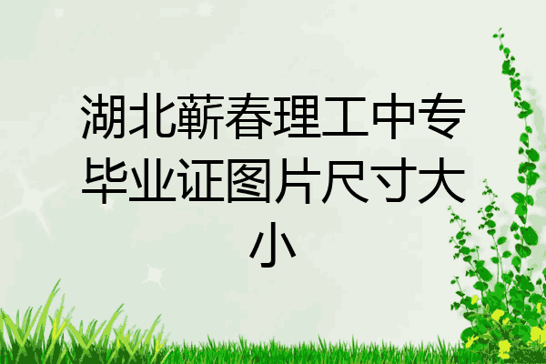 湖北蕲春理工中专毕业证图片尺寸大小