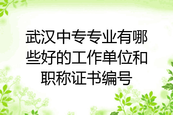 武汉中专专业有哪些好的工作单位和职称证书编号