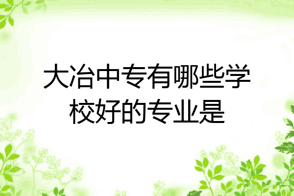 大冶中专有哪些学校好的专业是