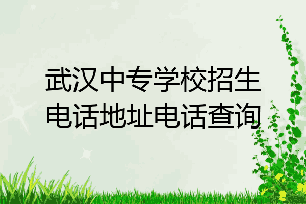 武汉中专学校招生电话地址电话查询