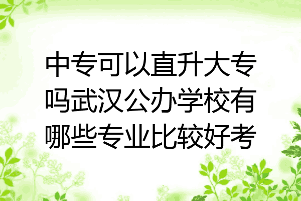 中专可以直升大专吗武汉公办学校有哪些专业比较好考