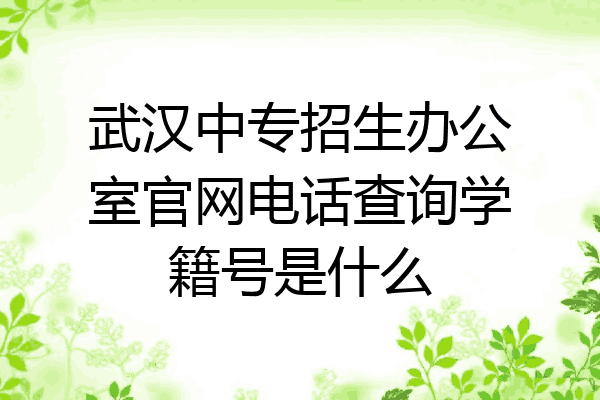 武汉中专招生办公室官网电话查询学籍号是什么