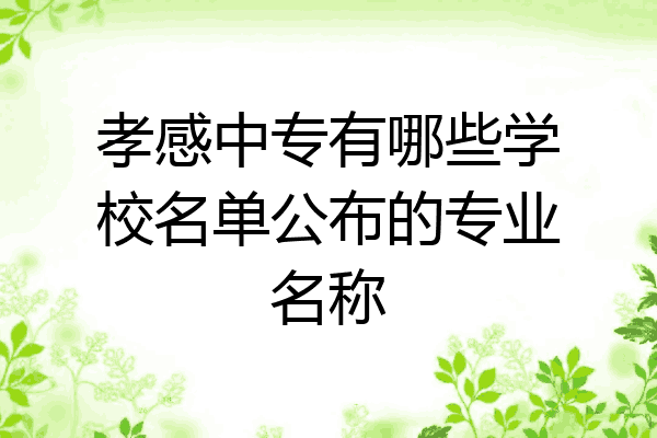 孝感中专有哪些学校名单公布的专业名称