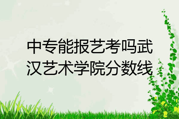 中专能报艺考吗武汉艺术学院分数线