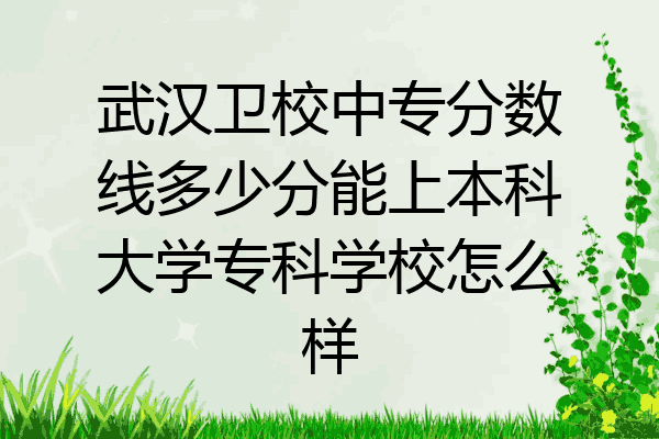武汉卫校中专分数线多少分能上本科大学专科学校怎么样