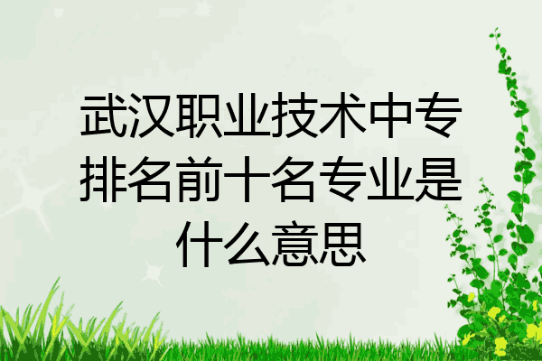 武汉职业技术中专排名前十名专业是什么意思