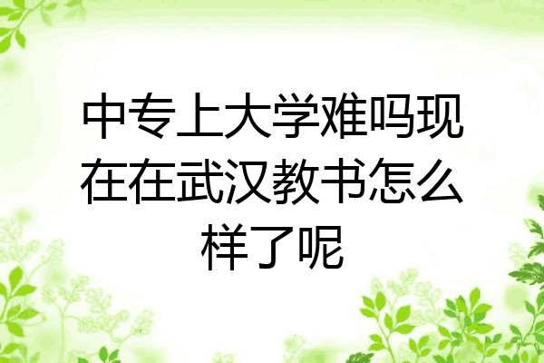 中专上大学难吗现在在武汉教书怎么样了呢