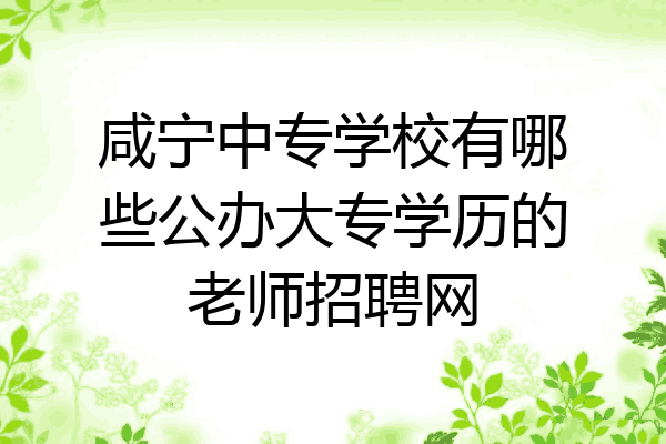 咸宁中专学校有哪些公办大专学历的老师招聘网