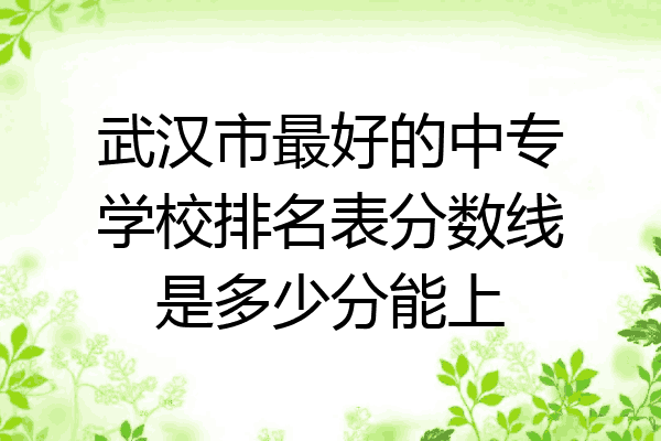 武汉市最好的中专学校排名表分数线是多少分能上