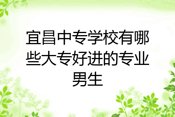 宜昌中专学校有哪些大专好进的专业男生
