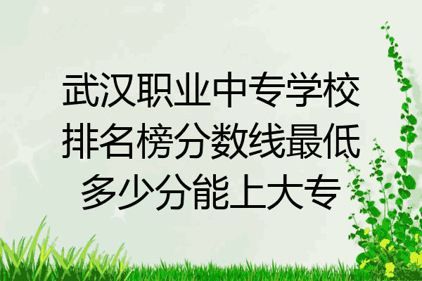 武汉职业中专学校排名榜分数线最低多少分能上大专