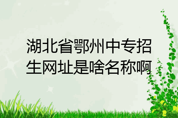湖北省鄂州中专招生网址是啥名称啊