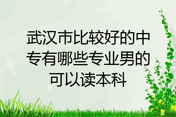 武汉市比较好的中专有哪些专业男的可以读本科