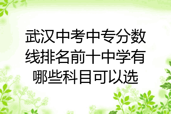 武汉中考中专分数线排名前十中学有哪些科目可以选