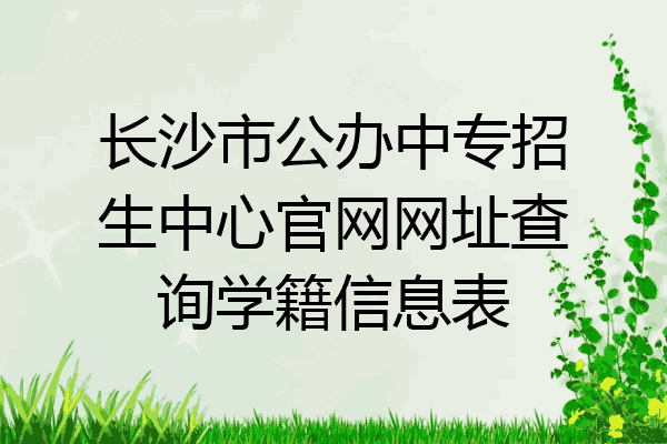 长沙市公办中专招生中心官网网址查询学籍信息表