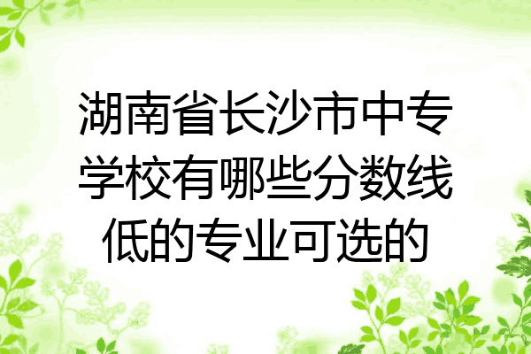 湖南省长沙市中专学校有哪些分数线低的专业可选的