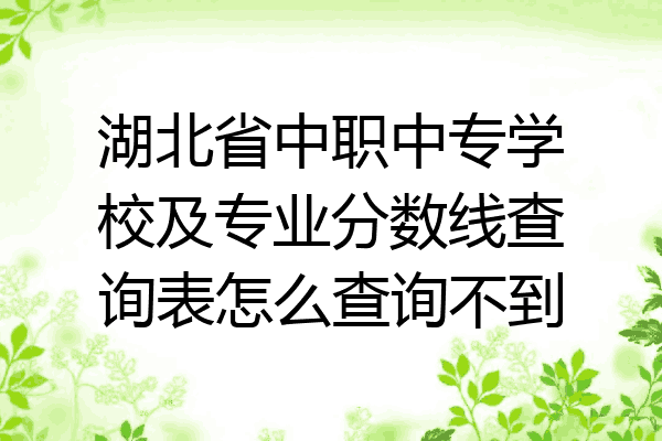 湖北省中职中专学校及专业分数线查询表怎么查询不到