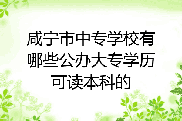 咸宁市中专学校有哪些公办大专学历可读本科的