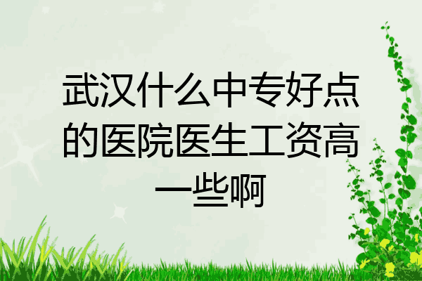 武汉什么中专好点的医院医生工资高一些啊