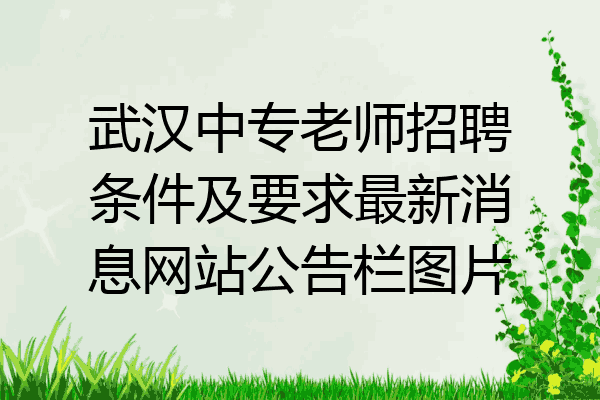 武汉中专老师招聘条件及要求最新消息网站公告栏图片