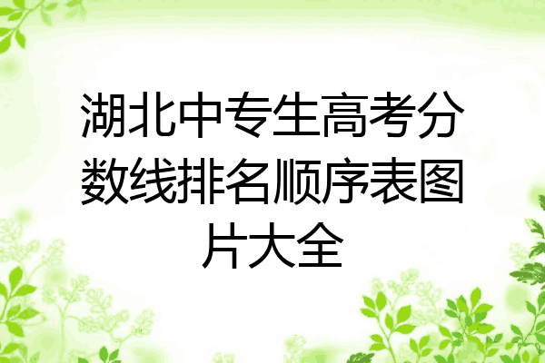 湖北中专生高考分数线排名顺序表图片大全
