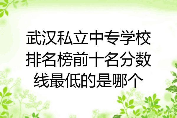 武汉私立中专学校排名榜前十名分数线最低的是哪个