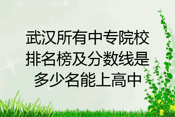 武汉所有中专院校排名榜及分数线是多少名能上高中