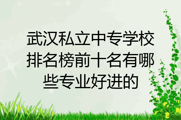 武汉私立中专学校排名榜前十名有哪些专业好进的