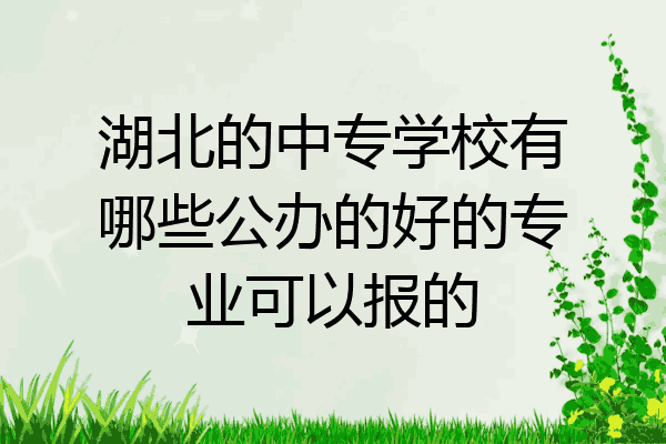湖北的中专学校有哪些公办的好的专业可以报的