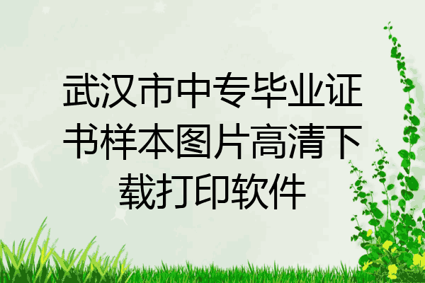 武汉市中专毕业证书样本图片高清下载打印软件