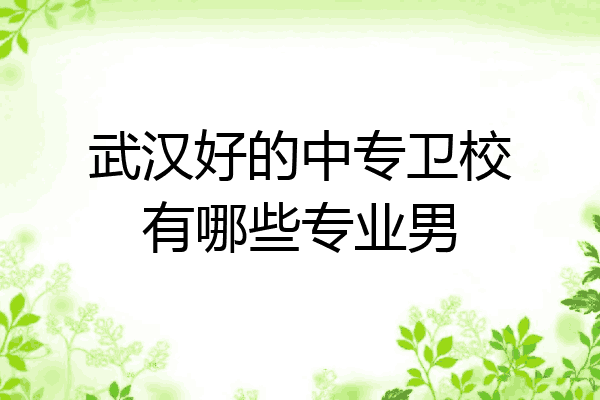 武汉好的中专卫校有哪些专业男