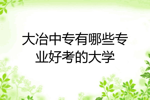 大冶中专有哪些专业好考的大学