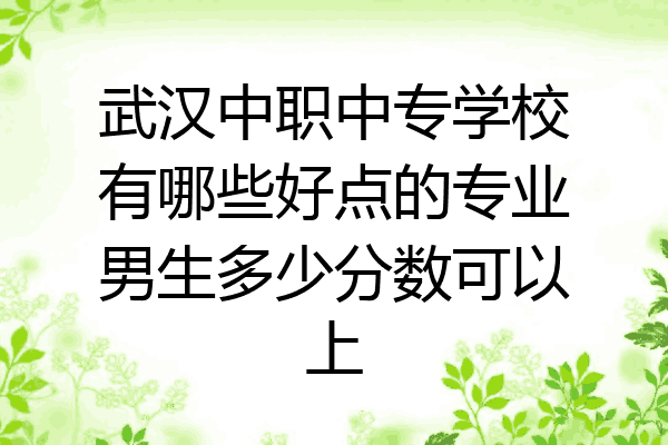 武汉中职中专学校有哪些好点的专业男生多少分数可以上