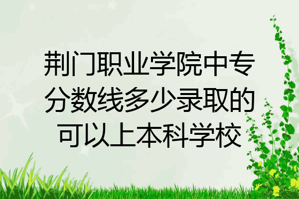 荆门职业学院中专分数线多少录取的可以上本科学校