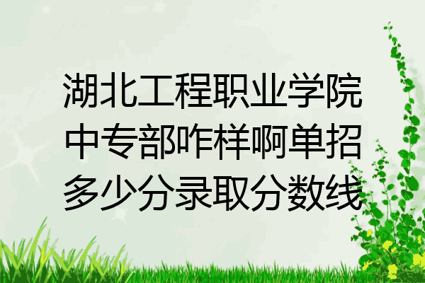 湖北工程职业学院中专部咋样啊单招多少分录取分数线