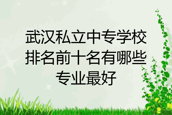 武汉私立中专学校排名前十名有哪些专业最好
