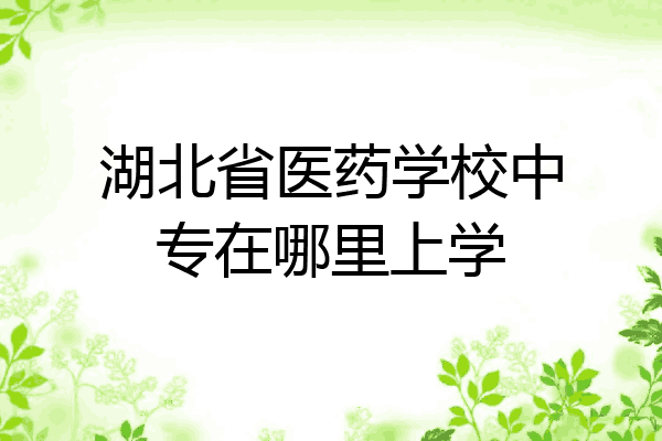 湖北省医药学校中专在哪里上学