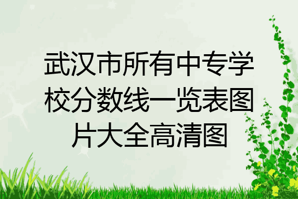 武汉市所有中专学校分数线一览表图片大全高清图