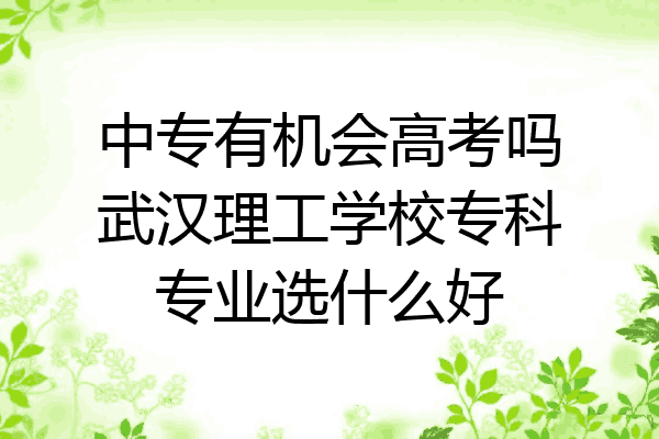 中专有机会高考吗武汉理工学校专科专业选什么好