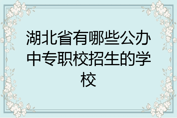 湖北省有哪些公办中专职校招生的学校