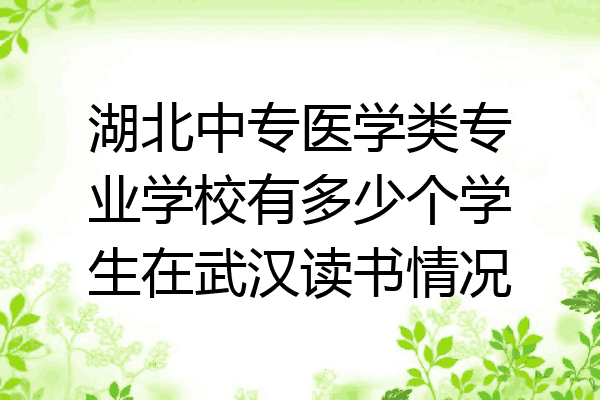 湖北中专医学类专业学校有多少个学生在武汉读书情况