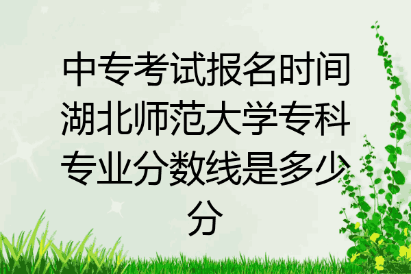 中专考试报名时间湖北师范大学专科专业分数线是多少分