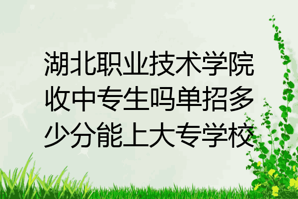 湖北职业技术学院收中专生吗单招多少分能上大专学校