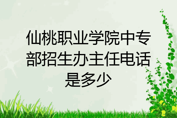 仙桃职业学院中专部招生办主任电话是多少