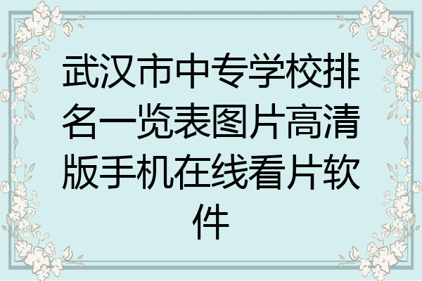 武汉市中专学校排名一览表图片高清版手机在线看片软件