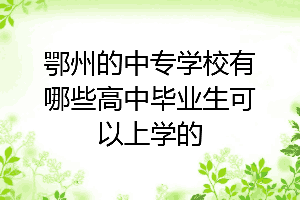 鄂州的中专学校有哪些高中毕业生可以上学的