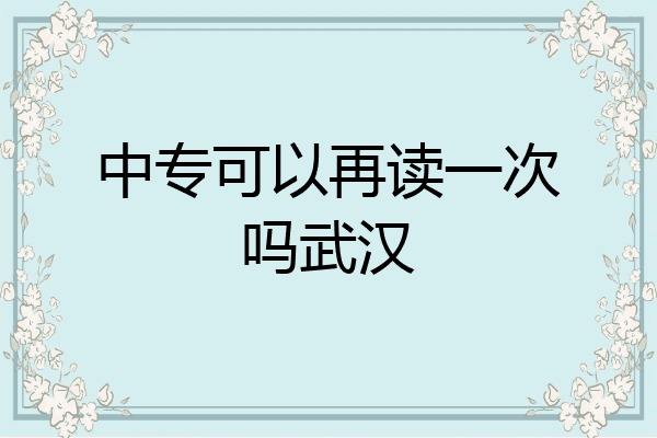 中专可以再读一次吗武汉