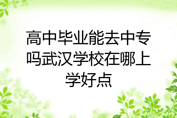 高中毕业能去中专吗武汉学校在哪上学好点