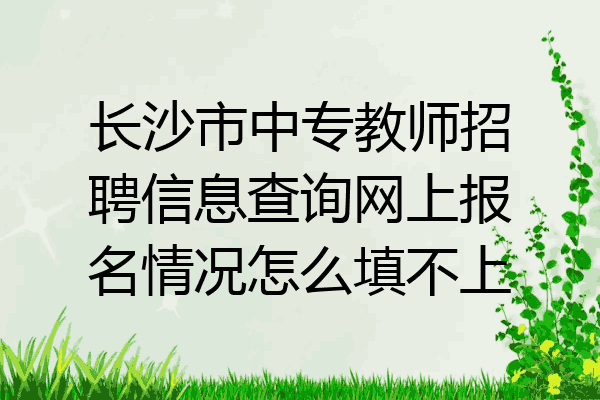 长沙市中专教师招聘信息查询网上报名情况怎么填不上