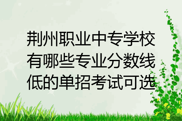 荆州职业中专学校有哪些专业分数线低的单招考试可选